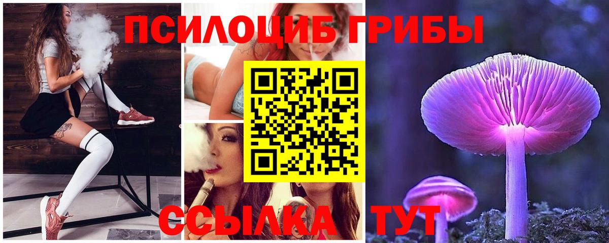 Псилоцибиновые грибы MAGIC MUSHROOMS  Вход с VPN  Псилоцибиновые грибы Magic Shrooms  Петровск 