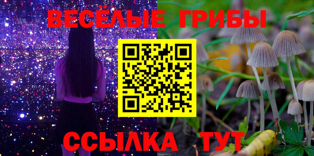 Галлюциногенные грибы прущие грибы Петровск